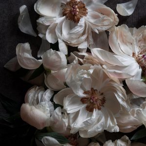 coral peonies