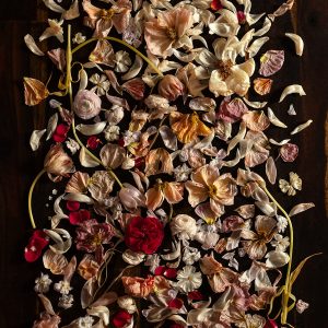 floral decay